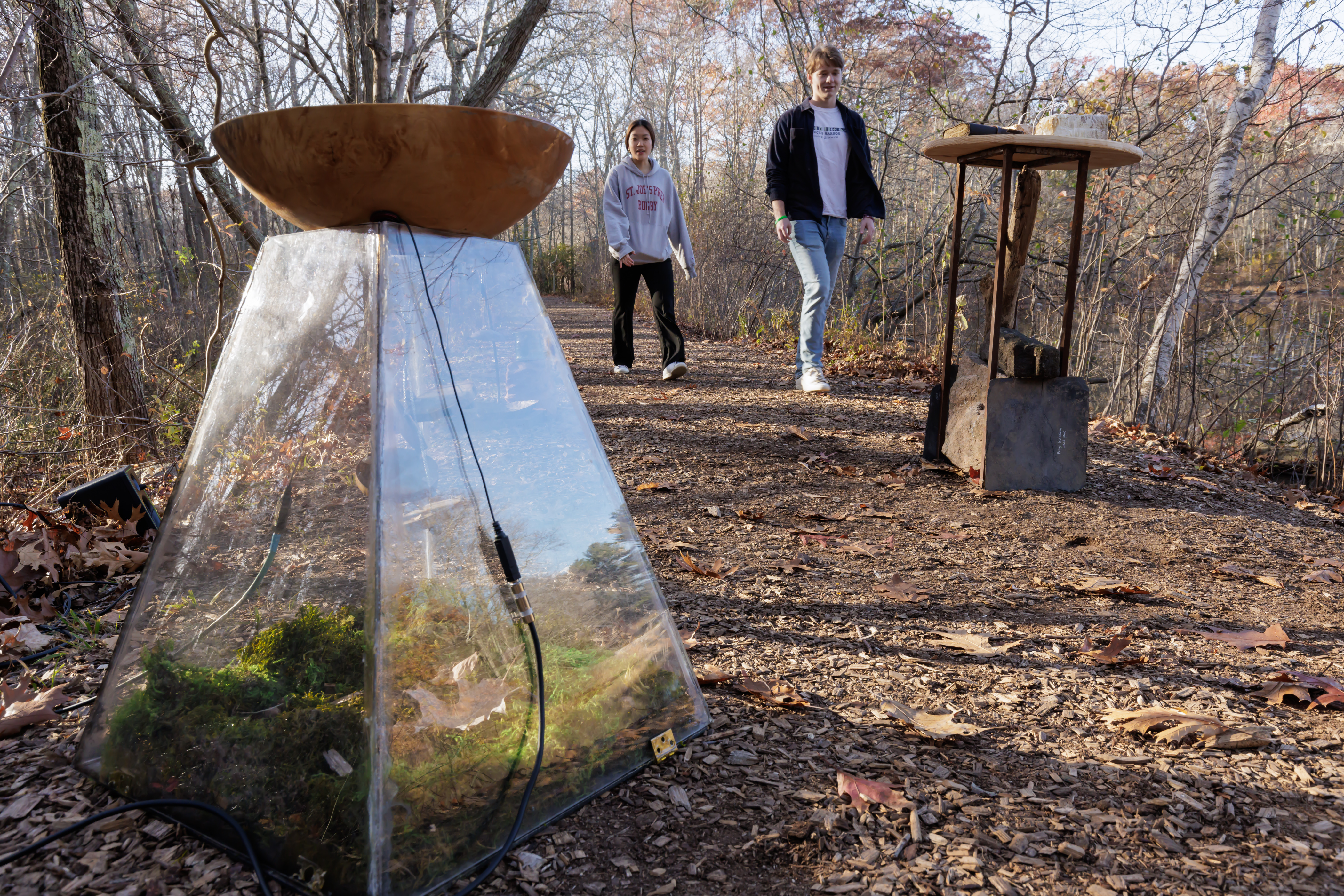 Students walking in the arbo