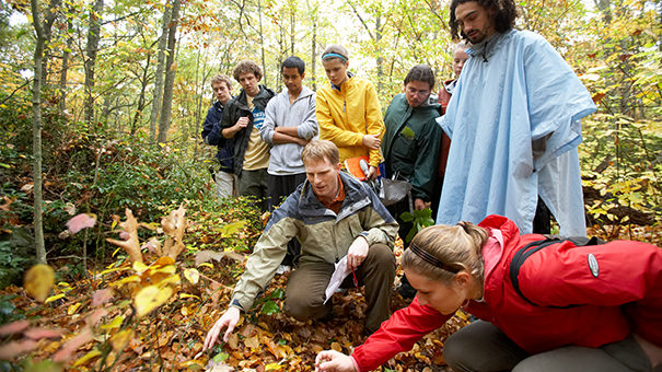 A botany class conducts fieldwork in the arboretum.