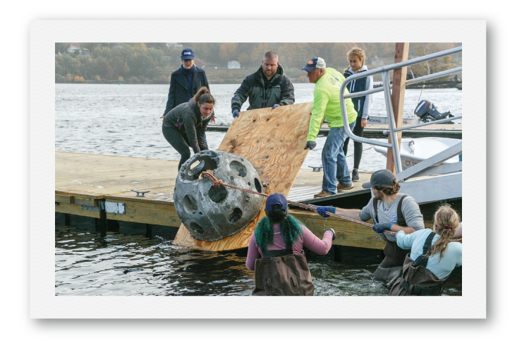 Students placing a reef ball in the Thames