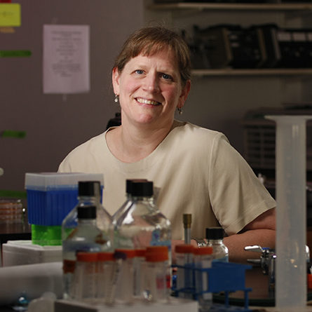 Professor of Biology Anne Bernhard