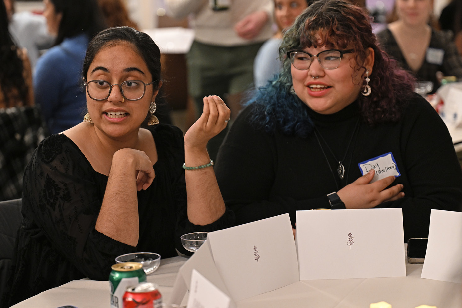 Two people sitting at a table talking.