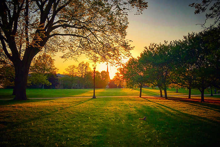 Tempel Green at sunset.