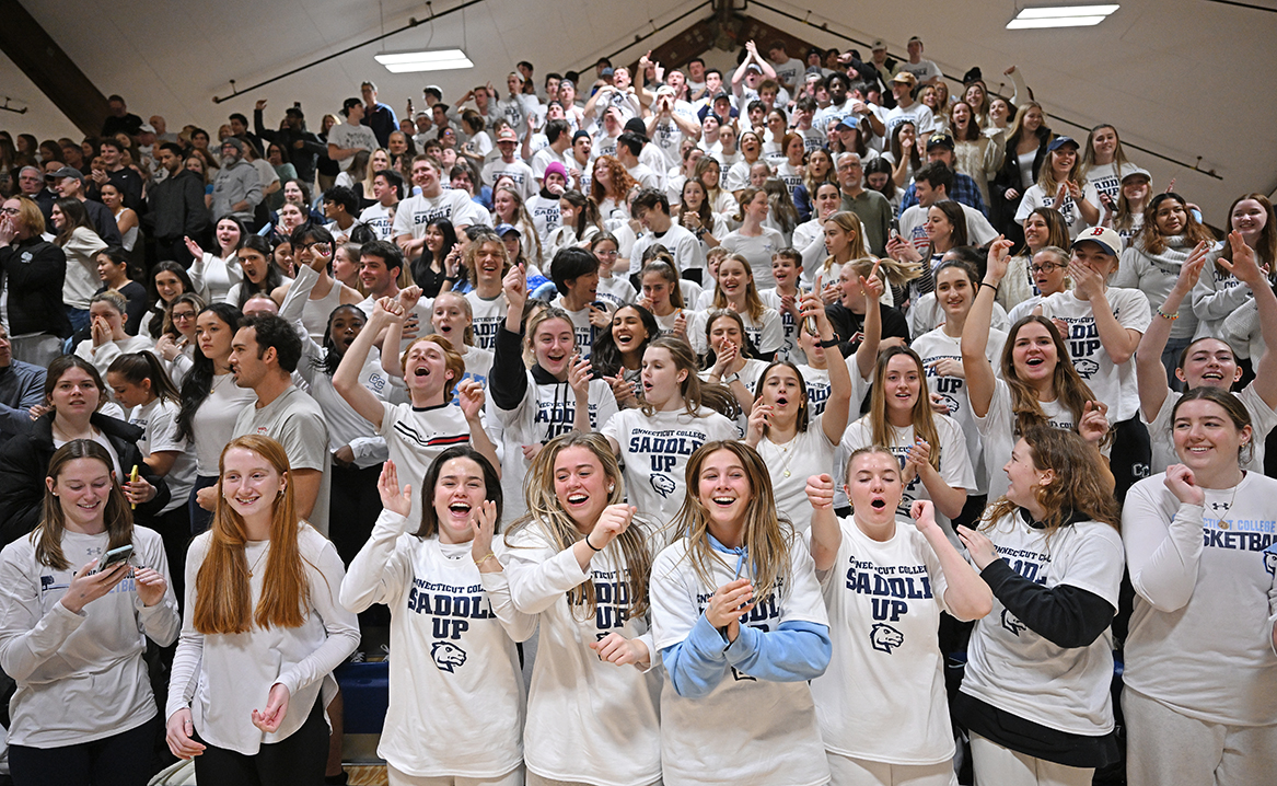 Crowd of cheering basketball fans