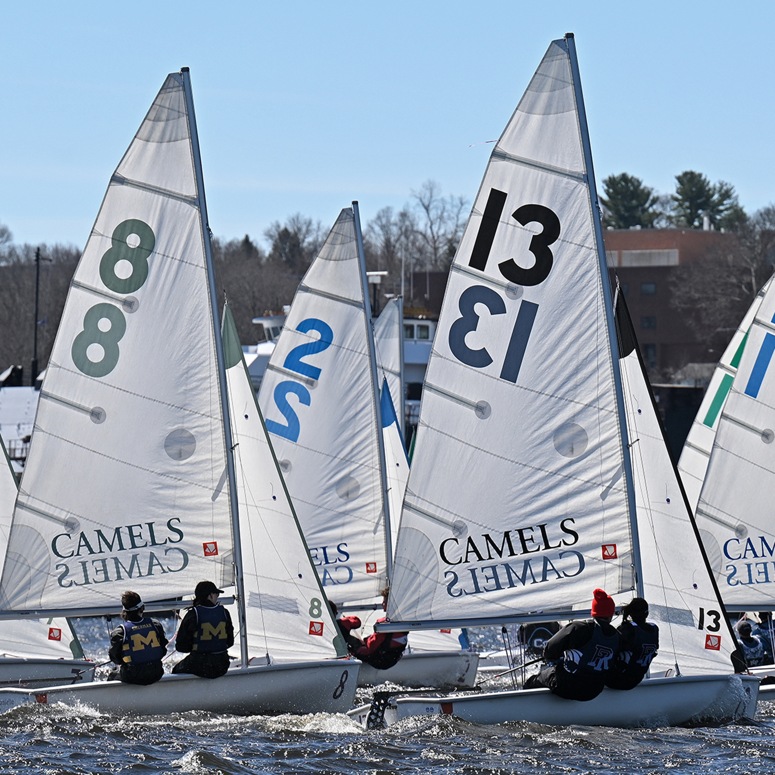 tight group of sailboats under a clear blue sky