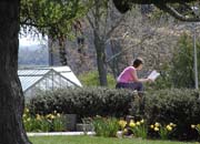 Someone reading a book outside.