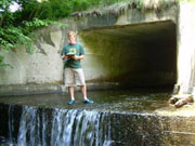 A student during their internship for the Goodwin-Niering Center.